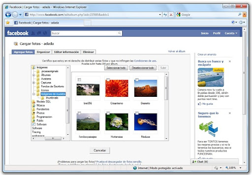 greenshot 2010 03 25 08 37 33 Cómo instalar el plugin ActiveX de Facebook para subir fotos