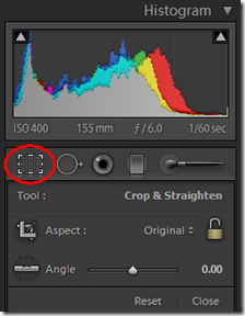 Crop overlay