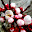 DSCN9283.JPG