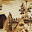 DSCN9073.JPG