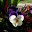 DSCN9110.JPG