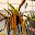 DSCN9173.JPG