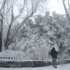 New Photos_1886.JPG