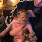 Tori holding a baby pig were her freshly manicured nails.