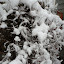 New Photos_1856.JPG