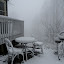 oh, spring is so close, yet so far away!
