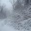New Photos_1888.JPG