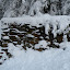New Photos_1929.JPG