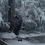 DSC00886.JPG