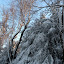 New Photos_1955.JPG