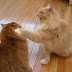 Oh and it's a left Hook