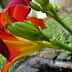 New Photos_4276.JPG