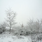 12.26.2009 - My gift this Holiday was being able to witness and capture the Mtn turning into a Winter Wonderland!