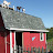 2007 The goats playing on the roof. They get rowdy at dusk.