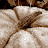2009 Here's one of Phyllis's painted pumpkins after the rain