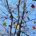 DSCN2402.JPG