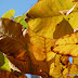 DSCN2408.JPG
