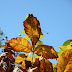 DSCN2409.JPG