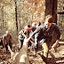 The hike UP / Out