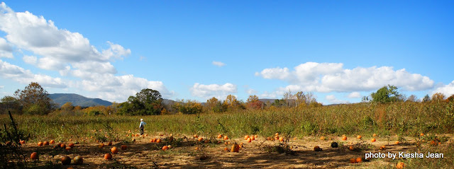 DSCN2152.JPG