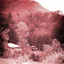 DSCN2166.JPG