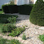 kerryg's Front garden