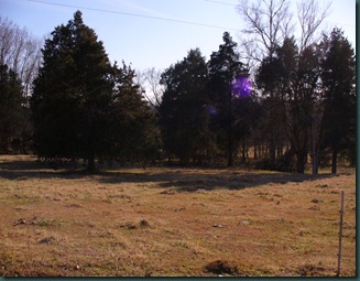 Granddaddys home place 087