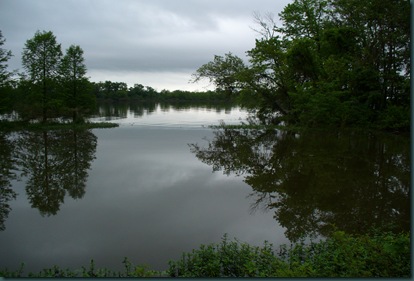 A rainy Sunday afternoon on the trails 017