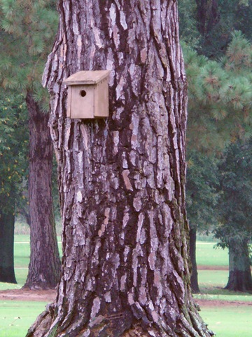 [cooking pics and wordless blog post on trails 2009 032[12].jpg]