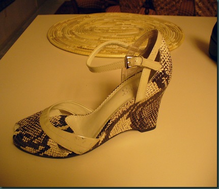shoes 004