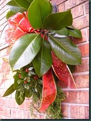 Christmas 2009 061