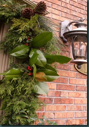 Christmas 2009 052