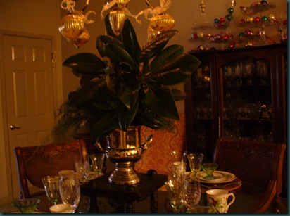 Christmas 2009 005