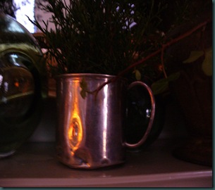 Christmas 2009 075