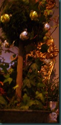 Christmas 2009 099