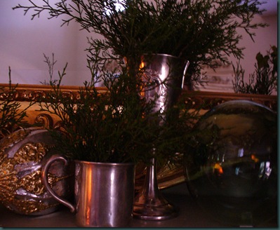 Christmas 2009 068