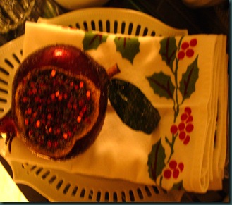 Christmas 2009 043