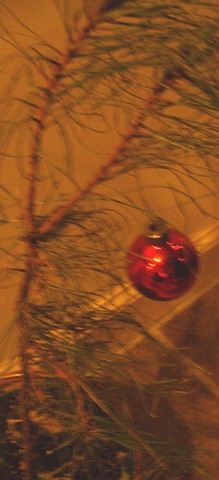 [Christmas 2009 225[14].jpg]