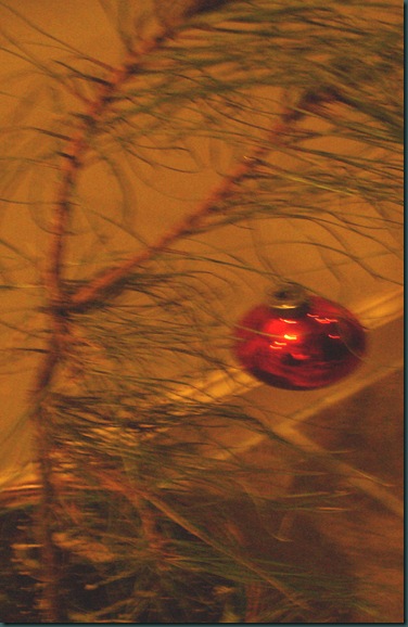 Christmas 2009 225
