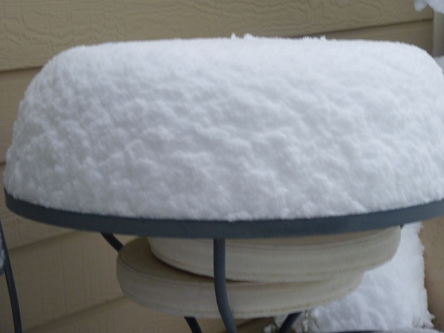 [Jan 10 2011 8-9 inches of snow 006[2].jpg]