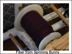 Fiber from Spinning Bunny