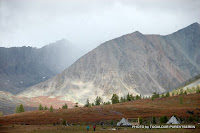 DSC_0382.JPG
