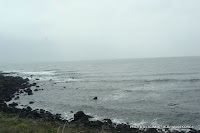 95.JPG