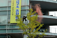 DSC_7942.JPG