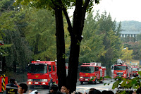 DSC_7993.JPG