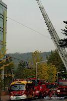 DSC_8011.JPG