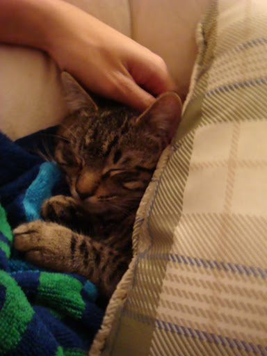 Иногда можно.