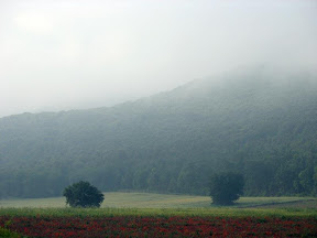 Piana di Abbadia Isola