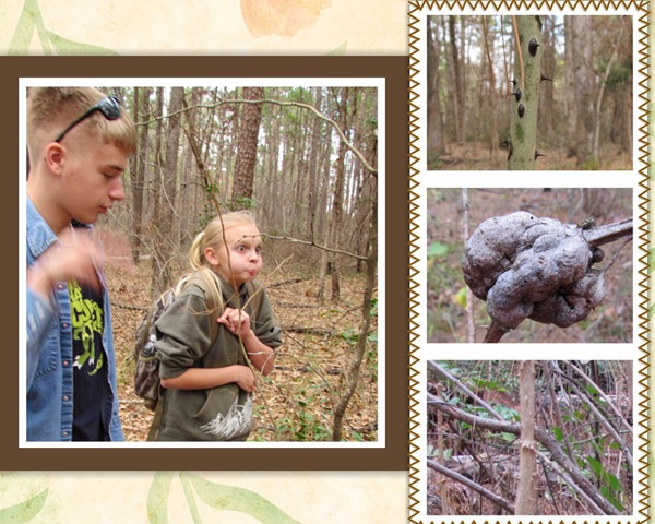 [Scrapbook 11_04[2].jpg]