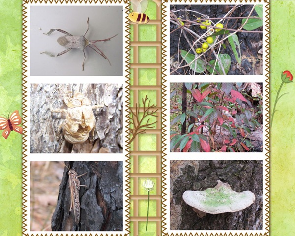 [Scrapbook 11_05[2].jpg]